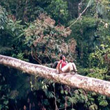 2002 namdhapa