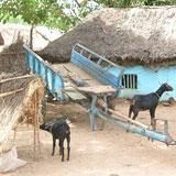 Craft of Life