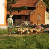 Evening @ Grama Nirmana